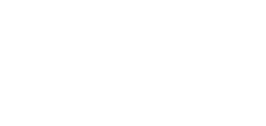logopingochinhthucwhite